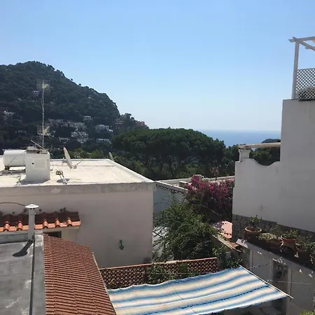 Apartamento Regina Di - Dalmazio Birago -
